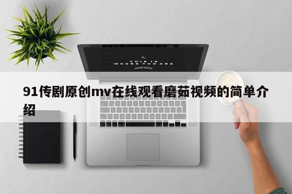 91传剧原创mv在线观看磨茹视频的简单介绍
