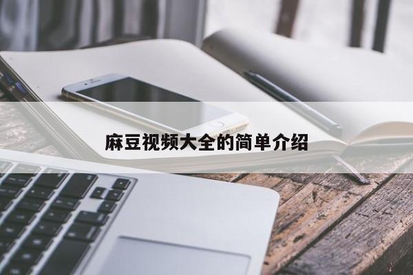 麻豆视频大全的简单介绍