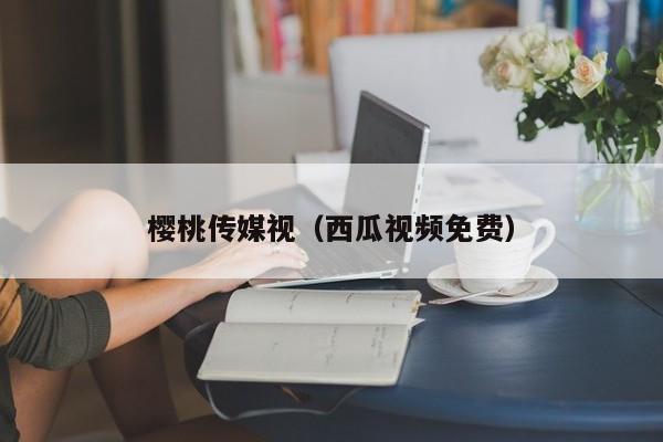 樱桃传媒视（西瓜视频免费）